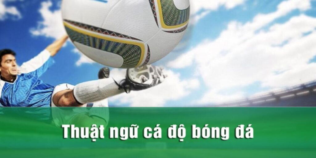 thuật ngữ cá độ bóng đá